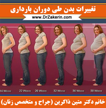 تغییرات بدن طی دوران بارداری